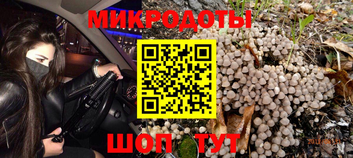 Петропавловск-Камчатский  Псилоцибиновые грибы прущие грибы  Вход с VPN 